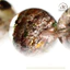 Hoả tốc - Ngọc Đan Tâm - Vòng Tay Thạch Anh Ưu Linh Hoa 12mm - Đa Mệnh