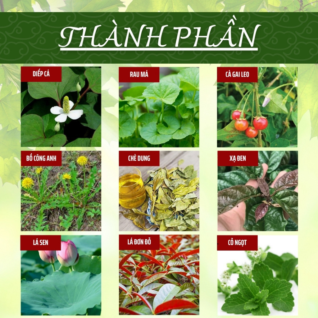 Hòa Bình Organic- Trà Diếp Cá,Rau Má. Giải độc gan,thanh nhiệt,tăng cường chức năng gan.Bịch 50 túi