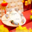 Hoả tốc - Vòng Tay Lục Tự Lu Thống Nguyệt Quang (Đá Xà Cừ + Đá Mặt Trời Lu Thống) - Mệnh Kim & Mệnh Thuỷ