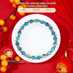 Hoả tốc - Ngọc Đan Tâm - Vòng Tay Apatite 6mm 2A Phối Charm Lồng Đèn - Mệnh Thuỷ & Mệnh Mộc