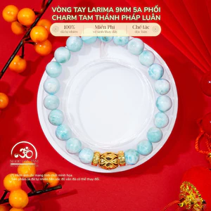 Hoả tốc - Ngọc Đan Tâm - Vòng Tay Larima 9mm 5A Phối Charm Tam Thánh Pháp Luân - Mệnh Thuỷ & Mệnh Mộc