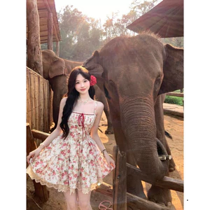 Sét váy 2 dây hoạ tiết hoa lá phối ren kèm khoác viền nơ đỏ, váy đi tiệc, váy đi chơi. Shop Uyên Fashion