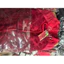 Set Pháp Phục Thun Tơ Thêu Hoa Nổi Phối Quần Tuyết Nhung Dáng Suông – Bộ Áo Dài Đi Chùa, Đi Lễ Tết 2026 | TiNa Fas