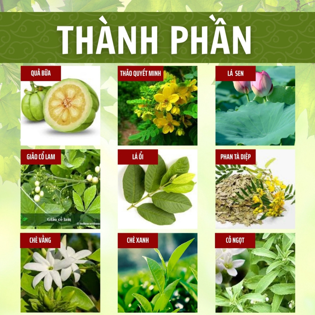 Hòa Bình Organic - Trà Túi Lọc Lá Ổi, Thanh Nhiệt, Thải mỡ bụng, Giảm mỡ máu, Ổn định đường huyết. Bịch 50 lọc.