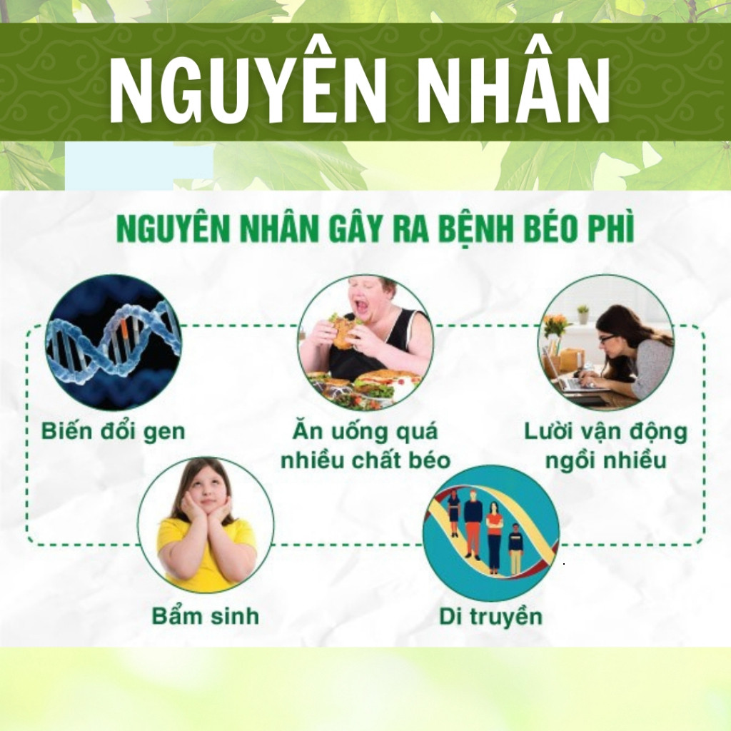 Hòa Bình Organic - Trà Túi Lọc Lá Ổi, Thanh Nhiệt, Thải mỡ bụng, Giảm mỡ máu, Ổn định đường huyết. Bịch 50 lọc.
