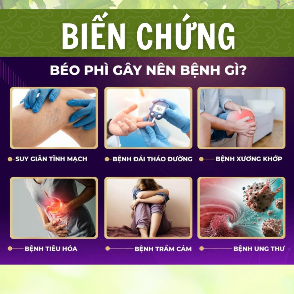 Hòa Bình Organic - Trà Túi Lọc Lá Ổi, Thanh Nhiệt, Thải mỡ bụng, Giảm mỡ máu, Ổn định đường huyết. Bịch 50 lọc.