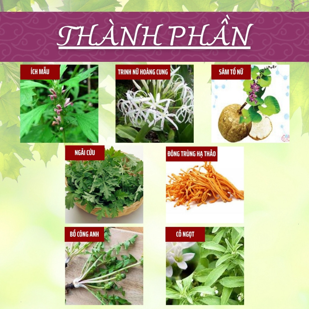 Hòa Bình Organic - Trà Túi Lọc Ích Mẫu, Ngải Cứu, Điều hòa nội tiết tố, điều trị rối loạn kinh nguyệt, chống lão hóa,