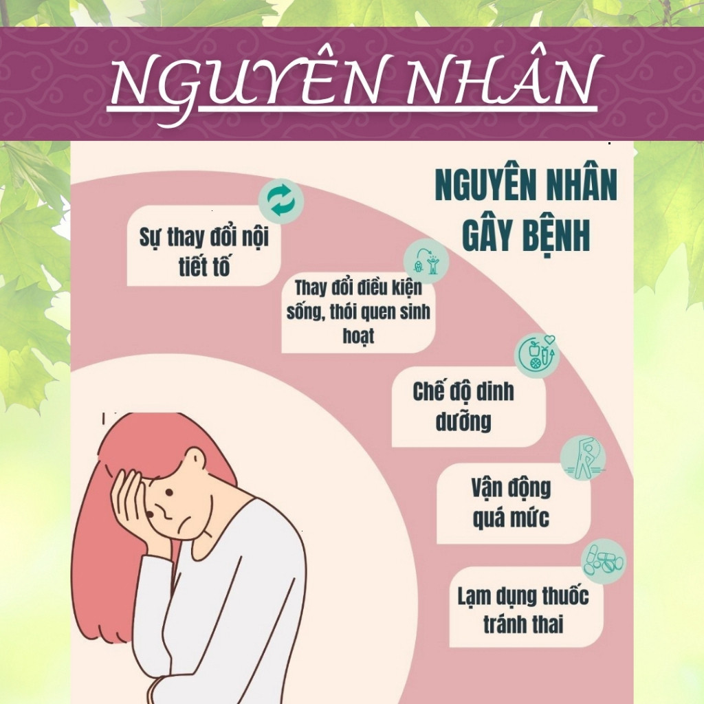 Hòa Bình Organic - Trà Túi Lọc Ích Mẫu, Ngải Cứu, Điều hòa nội tiết tố, điều trị rối loạn kinh nguyệt, chống lão hóa,