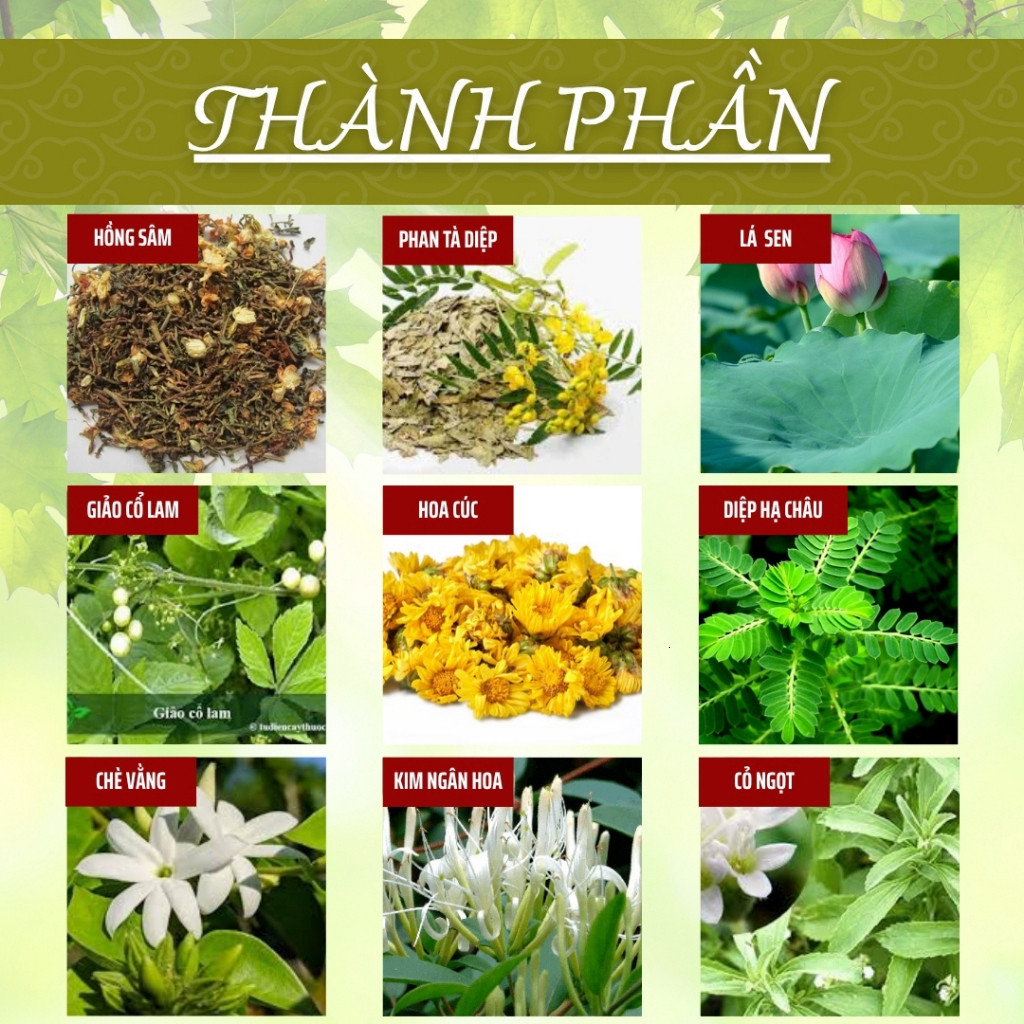 Hòa Bình Organic - Trà Phan Tà Diệp, Hỗ trợ tiêu hóa, thanh nhiệt, giảm cân. Bịch 30.50.100 túi lọc