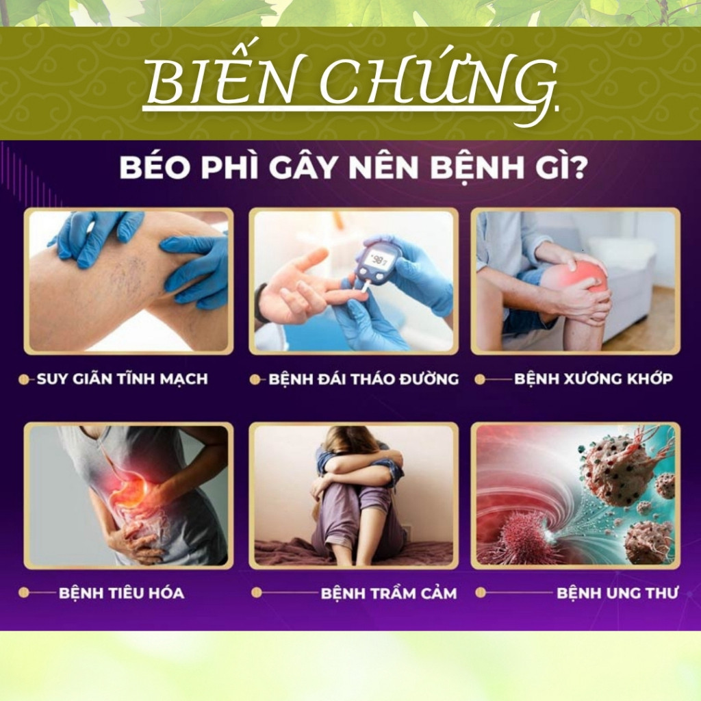 Hòa Bình Organic - Trà Phan Tà Diệp, Hỗ trợ tiêu hóa, thanh nhiệt, giảm cân. Bịch 30.50.100 túi lọc