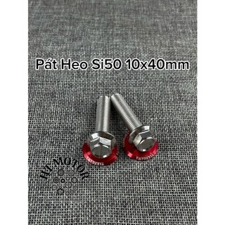 COMBO 2 ỐC SALAYA PÁT HEO DẦU TRƯỚC KÈM LÔNG ĐỀN ĐỎ- INOX 304