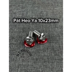 COMBO 2 ỐC SALAYA PÁT HEO DẦU TRƯỚC KÈM LÔNG ĐỀN ĐỎ- INOX 304