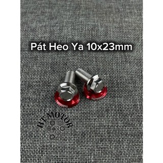 COMBO 2 ỐC SALAYA PÁT HEO DẦU TRƯỚC KÈM LÔNG ĐỀN ĐỎ- INOX 304