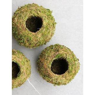 [[ Cầu rêu kokedama size 15cm. ]]