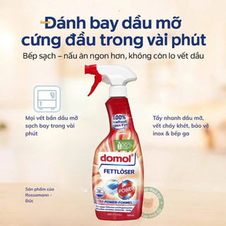 Xịt Vệ Sinh & Khử Khuẩn Nhà Bếp Domol Küchen Hygiene Reiniger 2in1 750ml Đức