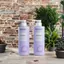 Dầu Gội Xả OVYCHEE 1000ML * 2 Ngăn Dầu Gầu Ngăn Rụng Hiệu Quả Phục Hồi Tái Sinh Mầm Tóc Siêu Mượt