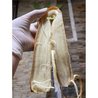 Phô Mai Khổng Lô Nga Bay ít mặn thơm ngậy 200gr