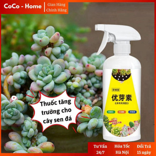 Xịt Kích Mầm, Chồi, Giúp Sen Đá Mập Mạp, Kích Thích Ra Rễ Chiết Tách Cành 300ml Daily Home - KR02