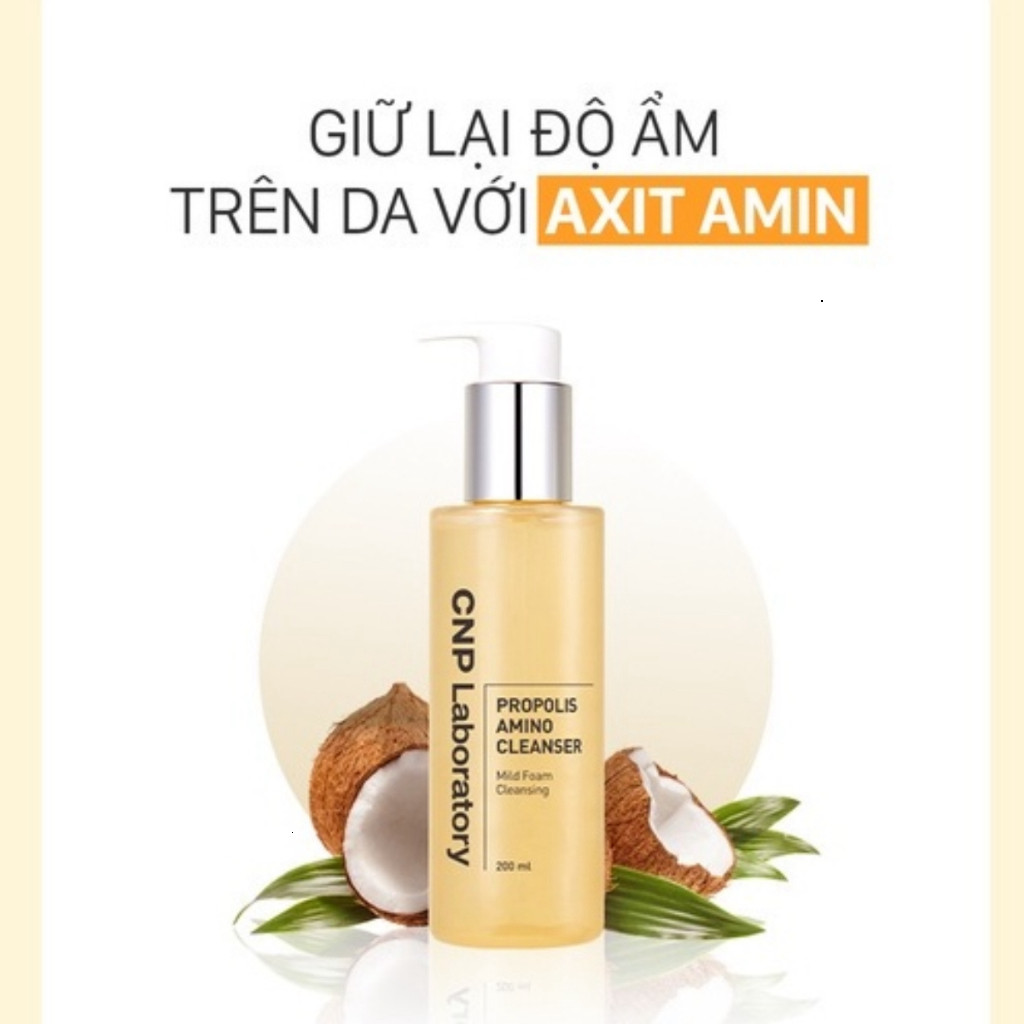 Sữa rửa mặt keo ong dịu lành phục hồi dưỡng ẩm CNP Laboratory Propolis Amino Energy Ampule 31ml/200ml