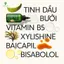 Nước dưỡng tóc bưởi Cocoon Pomelo Hair Tonic tinh dầu bưởi giảm gãy rụng và làm mềm tóc 140ml