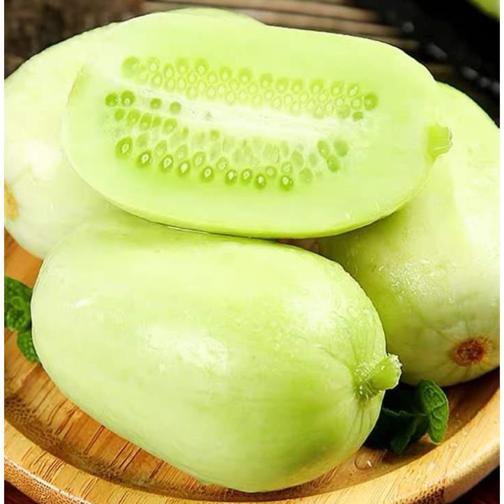 hạt giống dưa leo ngọc nữ tự thụ phấn - hạt giống F1