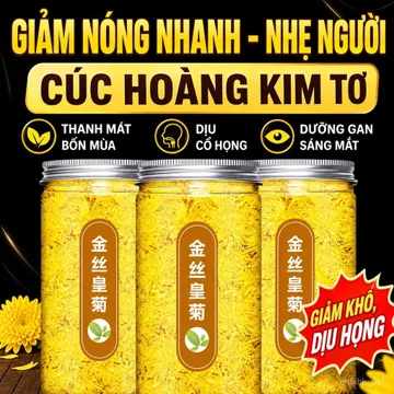Hoa cúc hoàng gia lụa vàng nụ lớn, Trà hoa cúc chính hãng đóng hộp, Trà hoa cúc hoàng gia lụa vàng cao cấp, Trà hoa cúc