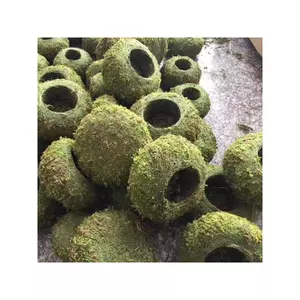^^ cầu rêu kokedama size 18cm ^^