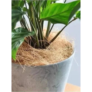 ^^ Chỉ cước xơ dừa tự nhiên siêu sạch buộc lan bonsai – sợi siêu dai – 1kg giá rẻ ^^