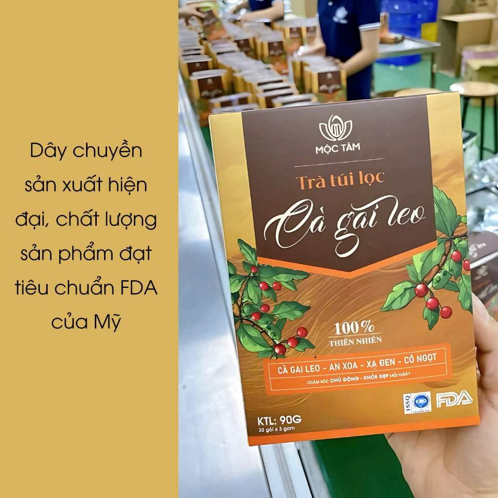 Trà Cà Gai Leo Hộp 30 Gói Chính Hãng Cao Cấp ✅ Trà túi lọc cà gai lẹo xạ đen mát gan rất tốt cho người sử dụng bia rượu