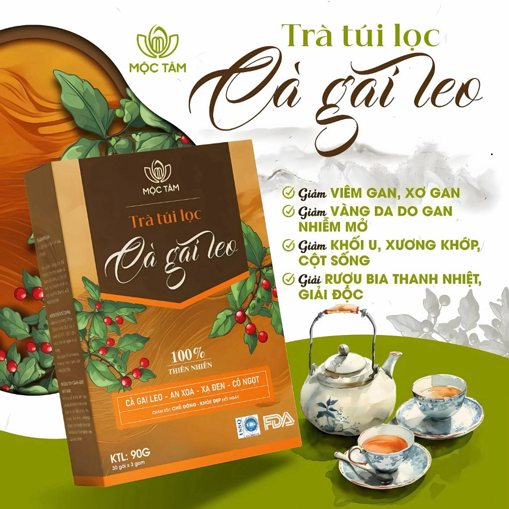 Trà Cà Gai Leo Hộp 30 Gói Chính Hãng Cao Cấp ✅ Trà túi lọc cà gai lẹo xạ đen mát gan rất tốt cho người sử dụng bia rượu