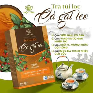 Trà Cà Gai Leo Hộp 30 Gói Chính Hãng Cao Cấp ✅ Trà túi lọc cà gai lẹo xạ đen mát gan rất tốt cho người sử dụng bia rượu