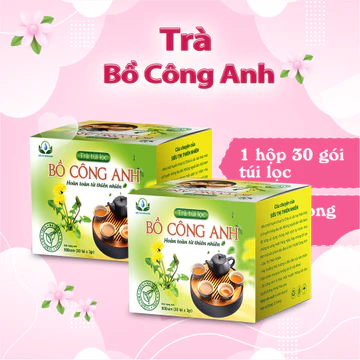 COMBO Trà Bồ Công Anh hộp 30 Túi Lọc x 3Gram của Siêu Thị Thiên Nhiên