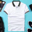 Áo Thun nam POLO phối viền vải thun cá sấu cotton co dãn 4 chiều cao cấp sang trọng lịch lãm-PLOVIEN213 Hot Trend 2026