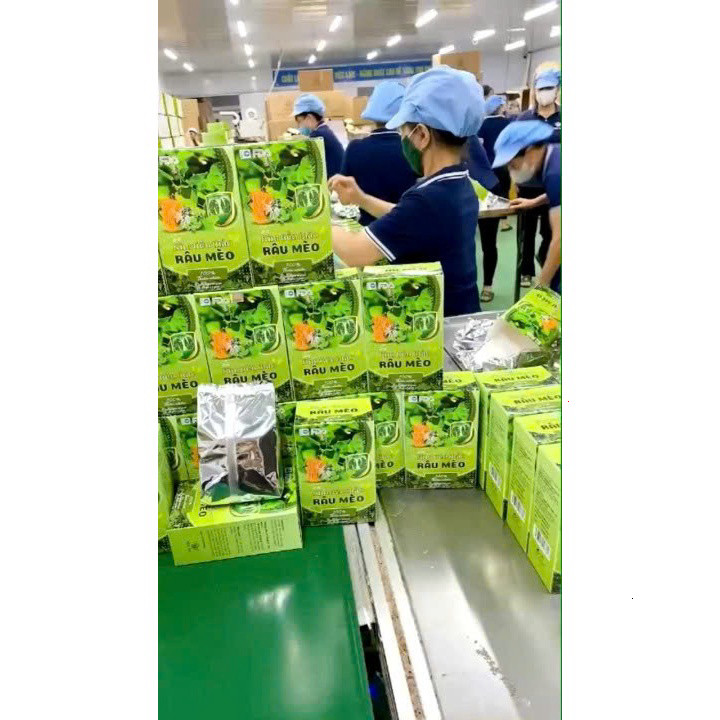 ✅ Trà Kim Tiền Thảo Râu Mèo [Chính Hãng Cao Cấp] Hộp 30 Gói ✅ Bổ thận lợi tiểu thanh lọc cơ thể loại bỏ nguy cơ sỏi thận