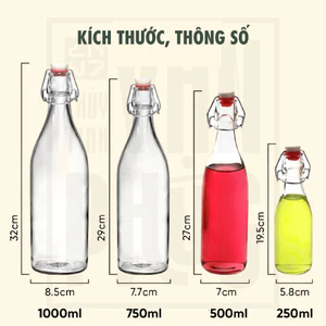 Chai thuỷ tinh BlingBox - [Giá Tốt Hơn] Combo 3 & 6 Chai Nắp Cài/Gài Thủy Tinh Cao Cấp (250ml 500ml 750ml 1000ml)