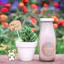 Chai thuỷ tinh BlingBox - [COMBO 4 CHAI] Chai Thủy Tinh Nắp Thiếc Đen 310ml trơn, đựng sữa hạt, nước ép hoa quả