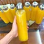 Chai thuỷ tinh BlingBox - Bình đựng nước thủy tinh,chai thủy tinh có dây xách ,chai thủy tinh nắp nhôm 300ml,500ml đựng