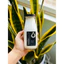 Chai thuỷ tinh BlingBox - Chai lọ thủy tinh đựng sữa hạt 310ml GOSE nắp nhôm đựng trà sinh tố nước ép