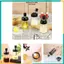 HŨ ĐỰNG GIA VỊ THỦY TINH KÈM THÌA - Lọ Đựng Gia Vị Cao Cấp, Dụng Cụ Nhà Bếp Tiện Lợi