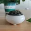 LƯ ĐỐT TRẦM GỐM SỨ VÂN RẠN - Trang Trí Phòng Khách Phòng Thiền