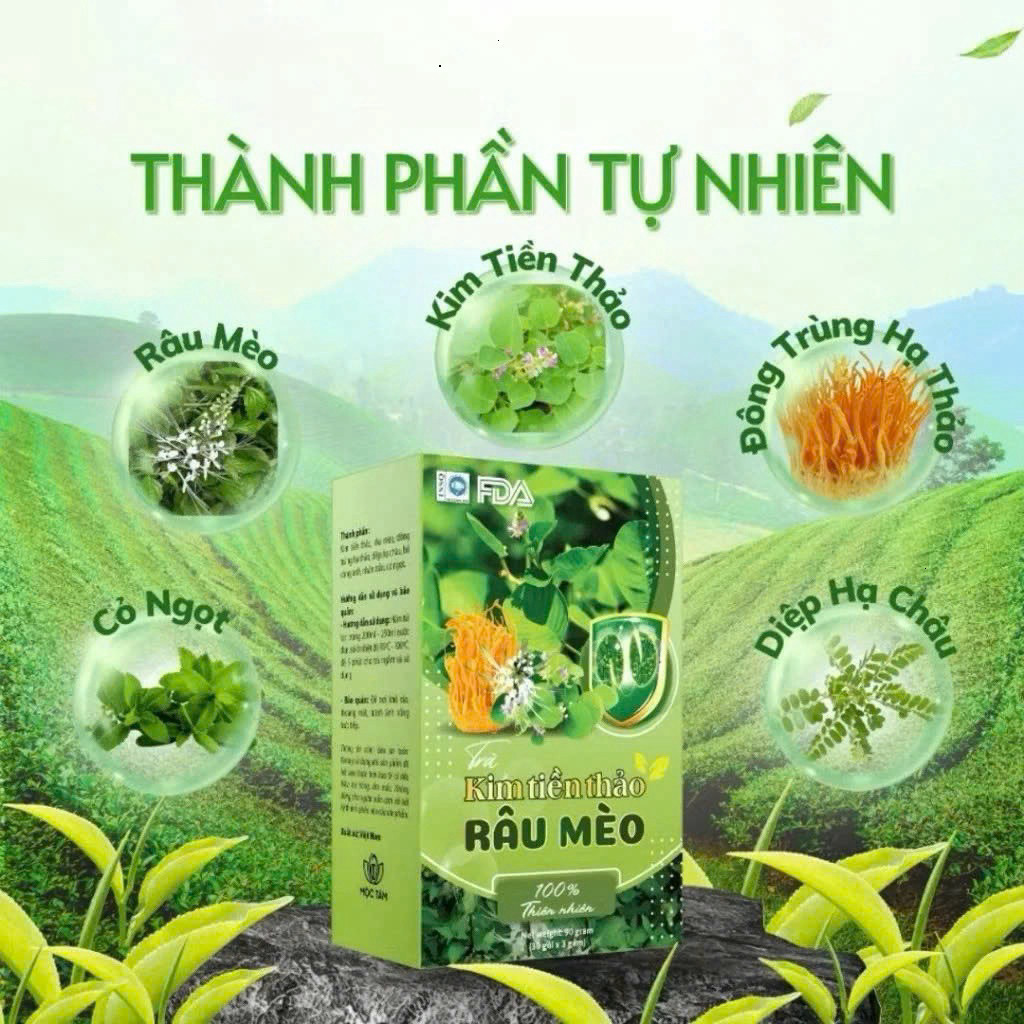 Trà Kim Tiền Thảo Râu Mèo Chính Hãng Cao Cấp Hộp 30 Gói - Bổ thận lợi tiểu thanh nhiệt cơ thể hết nguy cơ sỏi thận