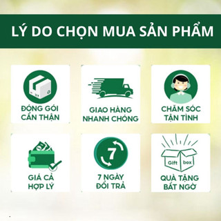 Trà Lá Nam 10 Vị Túi Lọc Triệu Quang 30 Gói - Trà Thảo Mộc, Túi Lọc Tiện Dụng, Hương Vị Thanh Mát
