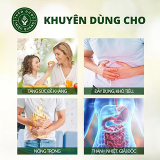Trà Cây Rau Mương Túi Lọc Triệu  Quang 30 Gói - Trà Thảo Mộc Tự Nhiên, Thanh Mát, Dễ Uống