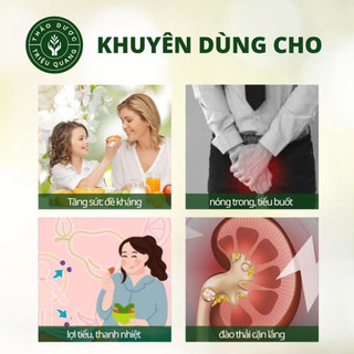 Trà Túi Lọc Kim Tiền Thảo - Giảm Sỏi Mật, Sỏi Thận, Giảm Sỏi Tiết Niệu Hiệu Quả - Triệu Quang 30 Lọc