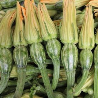 Hạt Giống Bí Siêu Nụ  - Gói 10 hạt - GM 100%
