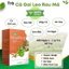 Trà Cà Gai Leo Rau Má Hộp 30 Gói Chính Hãng Cao Cấp ✅ Trà mát gan thanh nhiệt đẹp da tăng cường sức khỏe an toàn