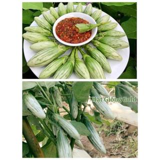 Gói 20 Hạt giống cà ngọt sọc Thái Oval (cà pháo sọc Thái) ngon giòn rất dễ trồng