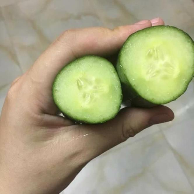 Hạt giống dưa chuột chùm trơn siêu trái ( Gói 15 hạt ) - dễ trồng, sinh trưởng mạnh và tự thụ phấn, cho thu hoạch sớm