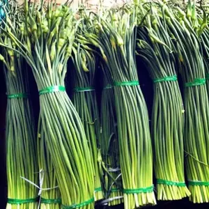Hạt giống Hẹ ăn Ngồng (Ngồng Hẹ) - Gói 200 hạt