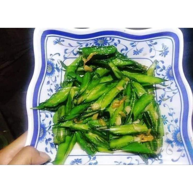 Gói 5 Hạt giống đậu rồng, đậu khế F1 Tứ Quý